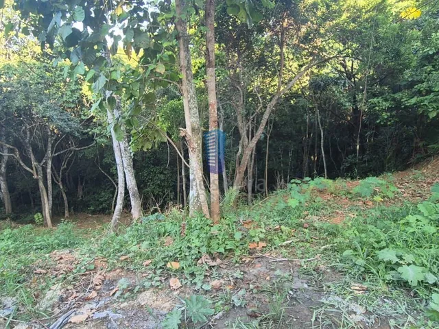 Imagem 2: Terreno no Bairro Cabeçudas