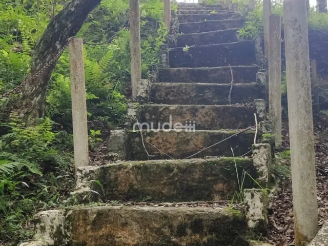 Imagem 9: Chácara para Eventos no Roça Velha