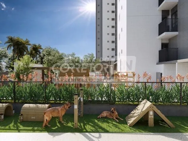 Imagem 14: 0 Apartamento com 5 dormitórios