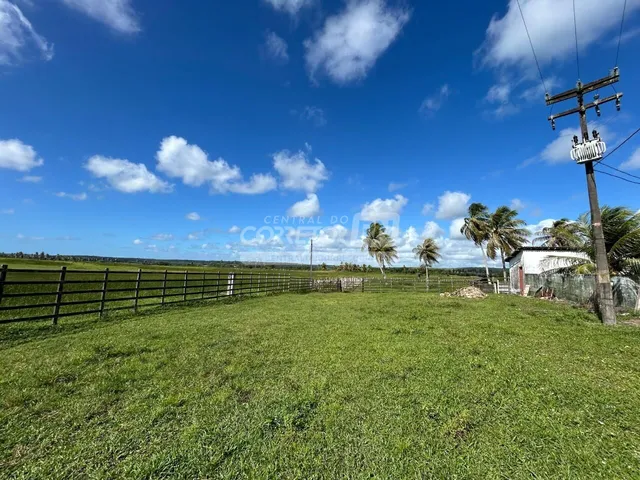 Imagem 13: Júnior Creci 4745 Su - 84 99922.4172 - Fazenda C/ 37 Hectares - R$ 2.900.000 - Centro - Nísia Floresta
