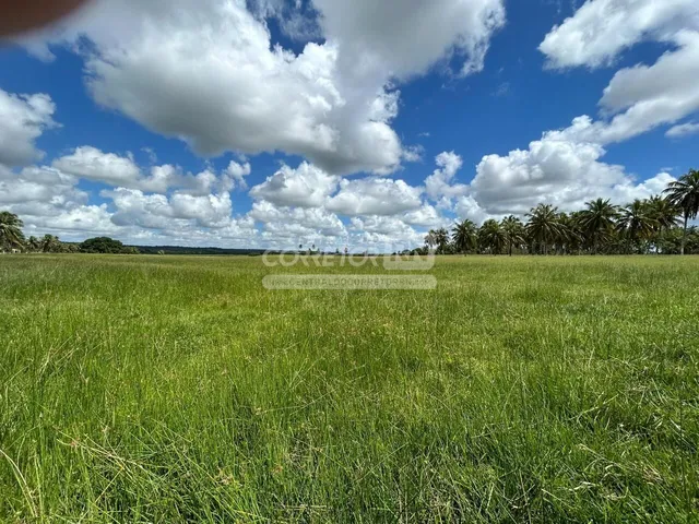 Imagem 3: Júnior Creci 4745 Su - 84 99922.4172 - Fazenda C/ 37 Hectares - R$ 2.900.000 - Centro - Nísia Floresta