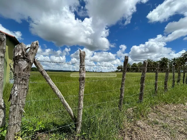Imagem 16: Júnior Creci 4745 Su - 84 99922.4172 - Fazenda C/ 37 Hectares - R$ 2.900.000 - Centro - Nísia Floresta