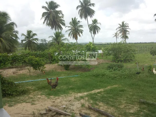 Imagem 11: Júnior Creci 4745 Su - 84 99922.4172 - Fazenda C/ 37 Hectares - R$ 2.900.000 - Centro - Nísia Floresta