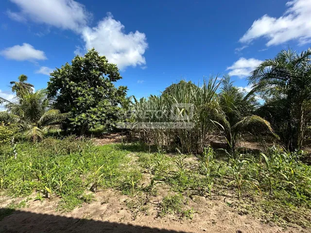 Imagem 15: Júnior Creci 4745 Su - 84 99922.4172 - Fazenda C/ 37 Hectares - R$ 2.900.000 - Centro - Nísia Floresta