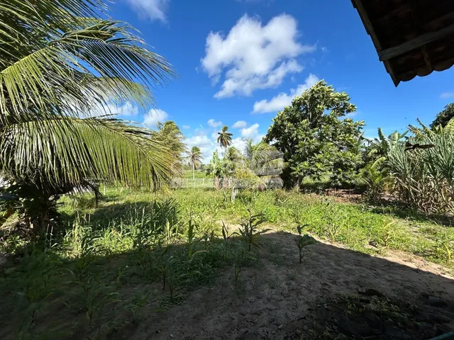 Imagem 8: Júnior Creci 4745 Su - 84 99922.4172 - Fazenda C/ 37 Hectares - R$ 2.900.000 - Centro - Nísia Floresta
