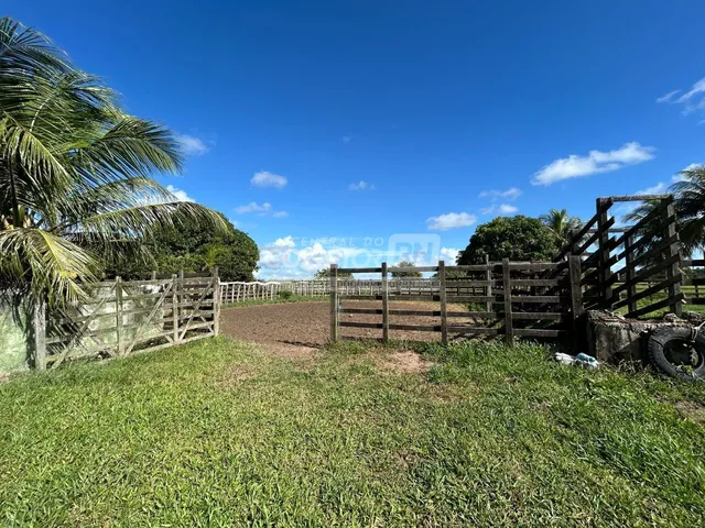 Imagem 10: Júnior Creci 4745 Su - 84 99922.4172 - Fazenda C/ 37 Hectares - R$ 2.900.000 - Centro - Nísia Floresta