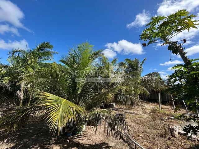 Imagem 7: Júnior Creci 4745 Su - 84 99922.4172 - Fazenda C/ 37 Hectares - R$ 2.900.000 - Centro - Nísia Floresta