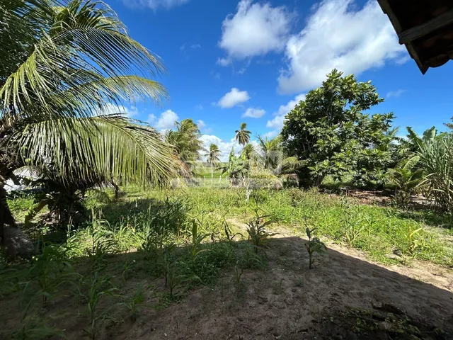 Imagem 2: Júnior Creci 4745 Su - 84 99922.4172 - Fazenda C/ 37 Hectares - R$ 2.900.000 - Centro - Nísia Floresta
