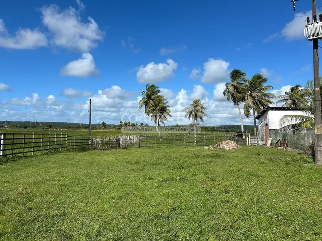Imagem 14: Júnior Creci 4745 Su - 84 99922.4172 - Fazenda C/ 37 Hectares - R$ 2.900.000 - Centro - Nísia Floresta