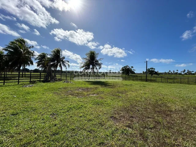Imagem 12: Júnior Creci 4745 Su - 84 99922.4172 - Fazenda C/ 37 Hectares - R$ 2.900.000 - Centro - Nísia Floresta