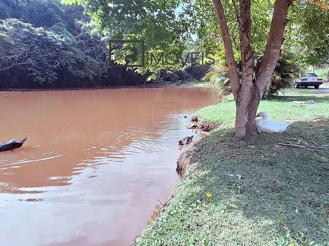 Imagem 13: .