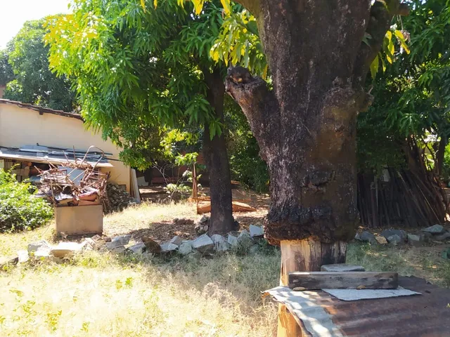 Imagem 7: Terreno Lote com 1080 M2 São Benedito