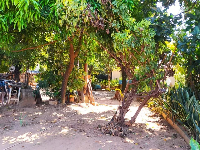 Imagem 6: Terreno Lote com 1080 M2 São Benedito