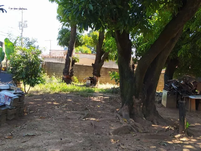 Imagem 13: Terreno Lote com 1080 M2 São Benedito