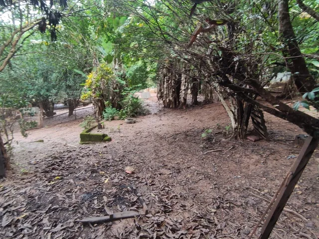 Imagem 12: Sítio com 16.800 M2 Barreiro do Amaral