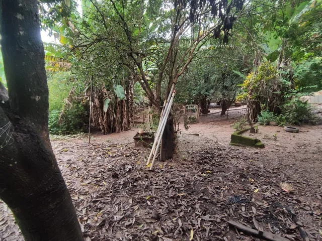 Imagem 8: Sítio com 16.800 M2 Barreiro do Amaral