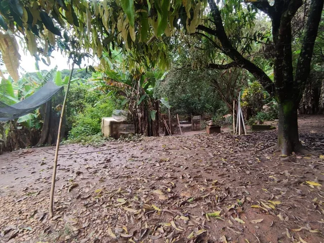 Imagem 3: Sítio com 16.800 M2 Barreiro do Amaral