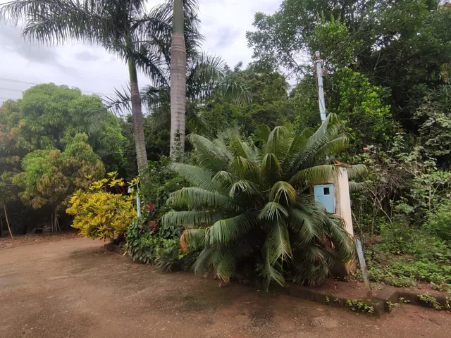 Imagem 15: Sítio com 16.800 M2 Barreiro do Amaral