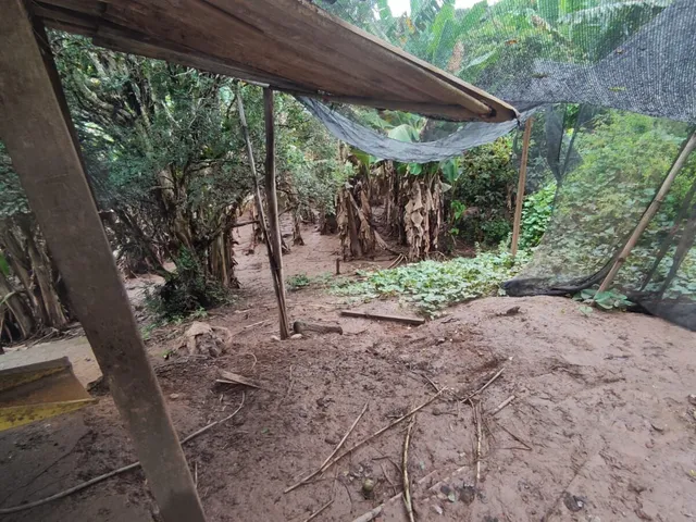 Imagem 14: Sítio com 16.800 M2 Barreiro do Amaral