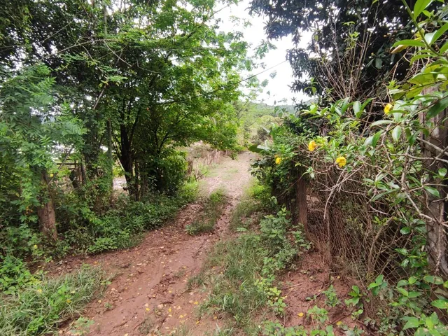 Imagem 5: Sítio com 16.800 M2 Barreiro do Amaral
