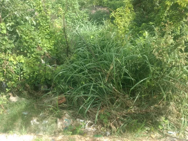 Imagem 4: Terreno Lote para Venda em São Benedito santa Luzia-Mg