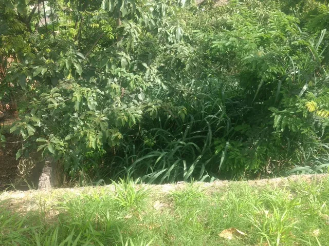 Imagem 5: Terreno Lote para Venda em São Benedito santa Luzia-Mg