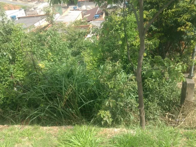 Imagem 6: Terreno Lote para Venda em São Benedito santa Luzia-Mg