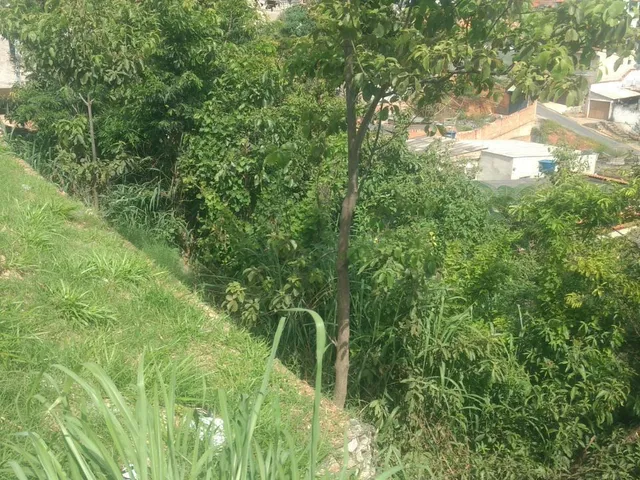 Imagem 3: Terreno Lote para Venda em São Benedito santa Luzia-Mg