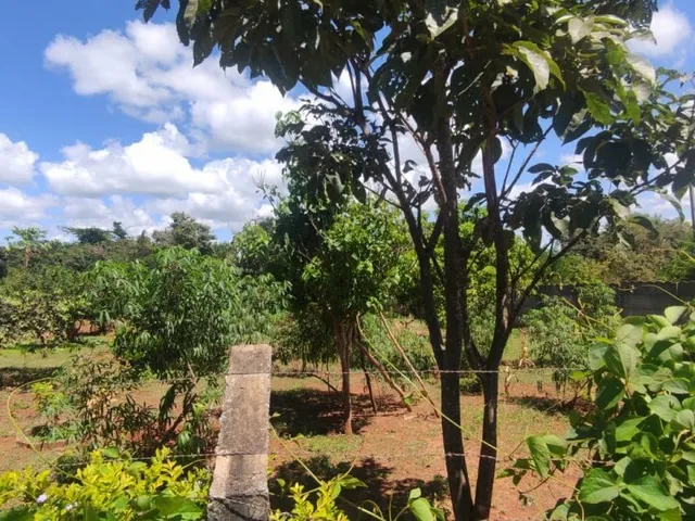 Imagem 5: Terreno para Venda em Cond. Andrequicé santa Luzia-Mg