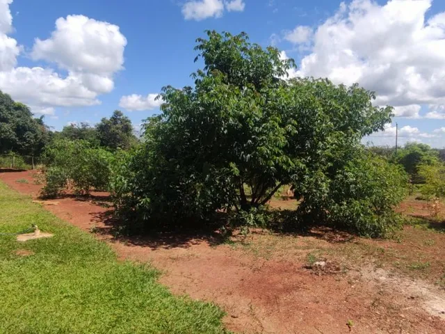 Imagem 14: Terreno para Venda em Cond. Andrequicé santa Luzia-Mg