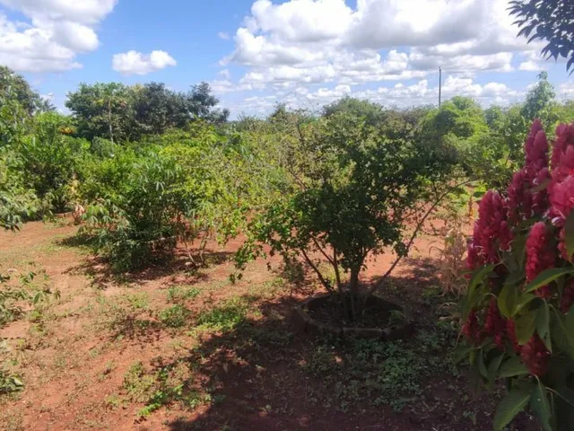 Imagem 12: Terreno para Venda em Cond. Andrequicé santa Luzia-Mg