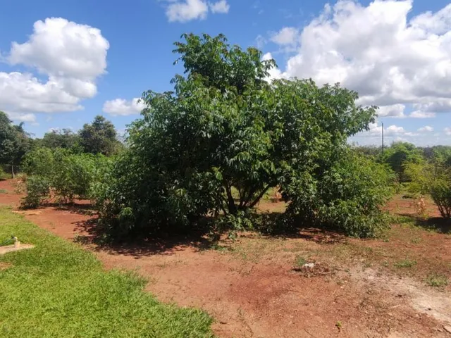 Imagem 10: Terreno para Venda em Cond. Andrequicé santa Luzia-Mg