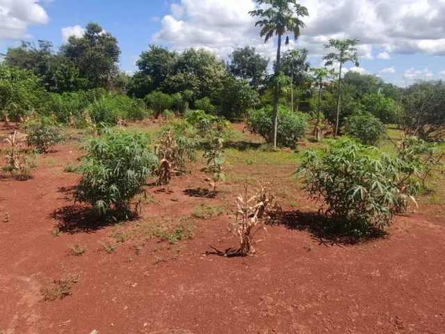 Imagem 2: Terreno para Venda em Cond. Andrequicé santa Luzia-Mg