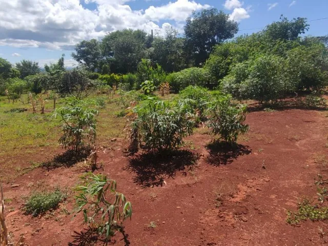 Imagem 11: Terreno para Venda em Cond. Andrequicé santa Luzia-Mg