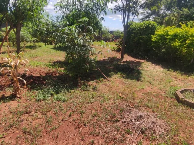 Imagem 4: Terreno para Venda em Cond. Andrequicé santa Luzia-Mg