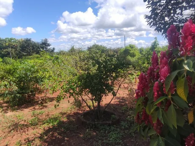 Imagem 9: Terreno para Venda em Cond. Andrequicé santa Luzia-Mg