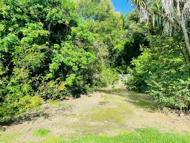 Imagem 10: Sítio de 5.500M2 no Condominio Ipe Amarelo