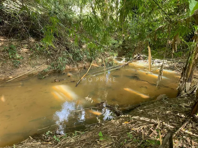 Imagem 5: Sítio de 5.500M2 no Condominio Ipe Amarelo