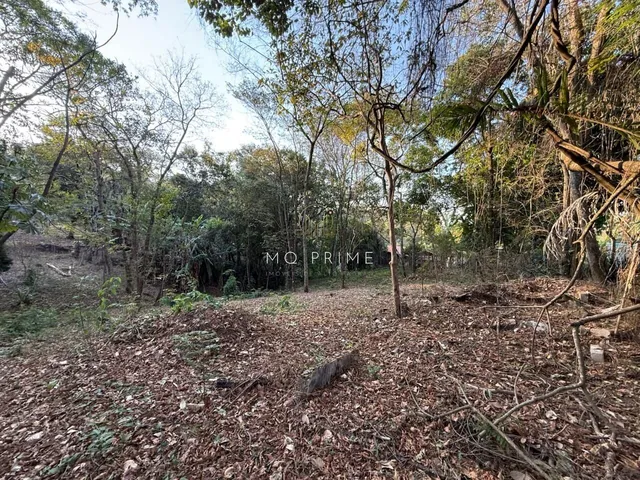 Imagem: Terreno a Venda no Condomínio Ipé Amarelo