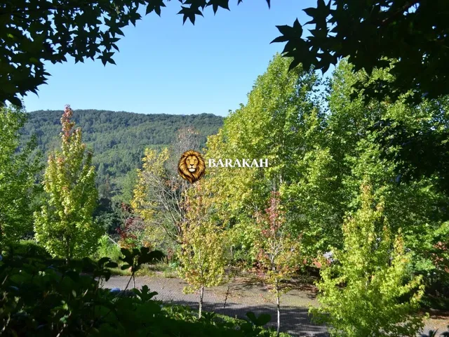 Imagem 3: Área À Venda no Bairro Linha Bonita - Gramado/Rs