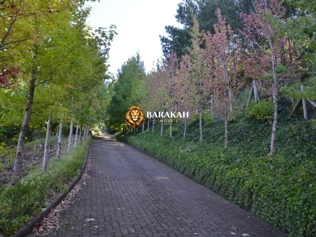 Imagem 4: Área À Venda no Bairro Linha Bonita - Gramado/Rs