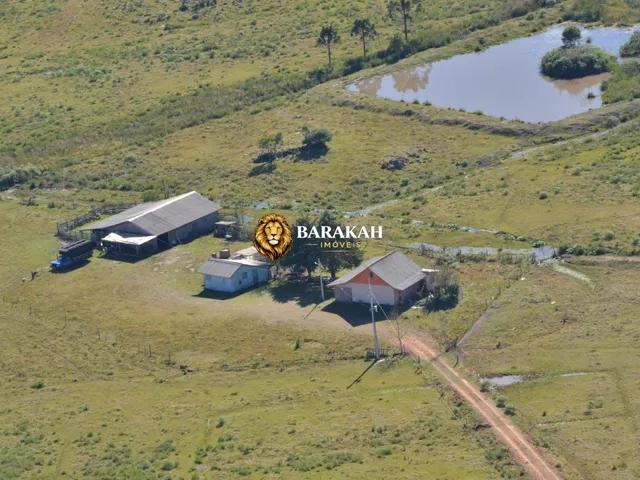 Imagem 2: Sítio À Venda no Bairro Lajeado Grande - São Francisco de Paula/Rs