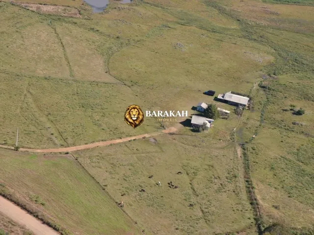 Imagem 3: Sítio À Venda no Bairro Lajeado Grande - São Francisco de Paula/Rs
