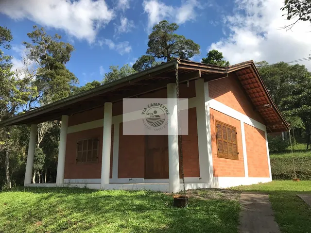 Imagem 11: Chácara em Campo Alegre com Ampla Residência com 3 Suítes, Mais Casa de Hospedes, Ranchos, Riacho