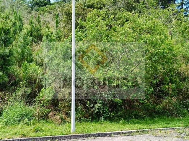 Imagem 4: Terreno em Condomínio em Roçado, São José/Sc