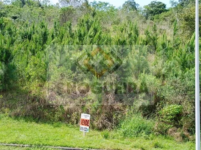 Imagem 8: Terreno em Condomínio em Roçado, São José/Sc