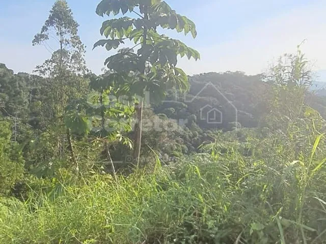 Imagem 5: Terreno Amplo de 399,20M²