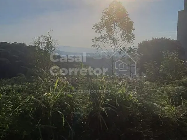 Imagem 8: Terreno Amplo de 399,20M²