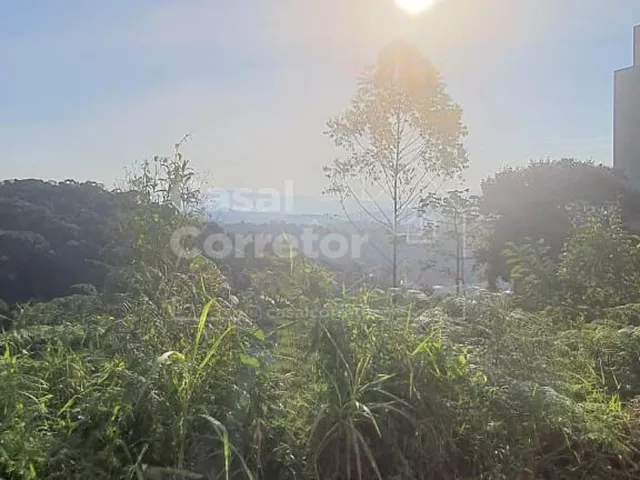 Imagem 10: Terreno Amplo de 399,20M²