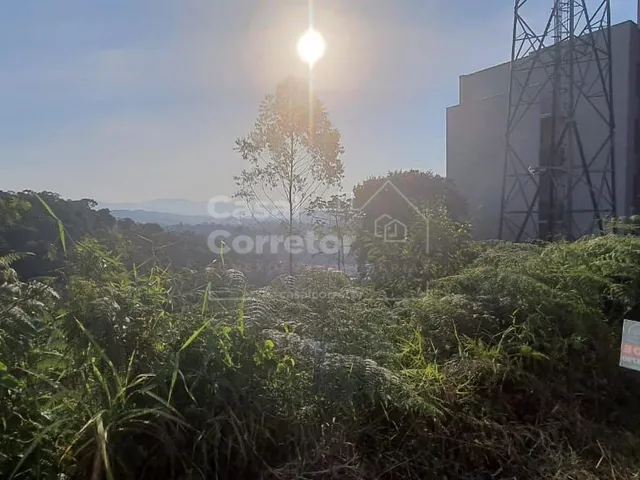 Imagem 3: Terreno Amplo de 399,20M²